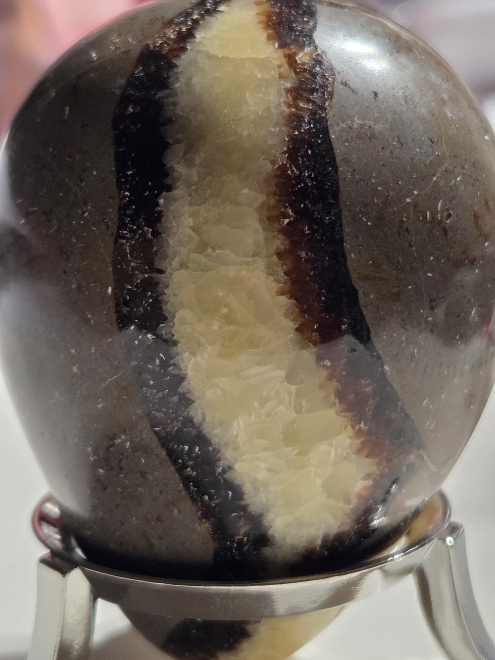 Polished Septarian Calcite "Dragon Stone" Egg - Picture 14 of 14